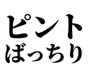 845717554