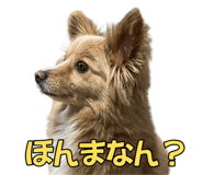 845718610
