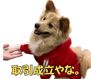 845718613