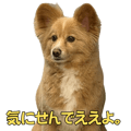 845718623
