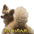 845718624