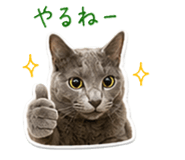 845722582
