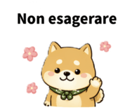845722992