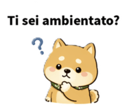 845722996