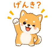 845725365