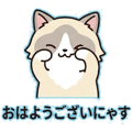 845725491