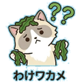 845725514