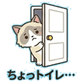 845725523