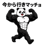 845725571
