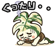 845725742