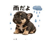 845726074
