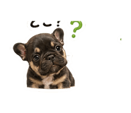 845726079