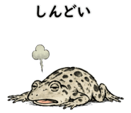 845726306