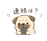845727461