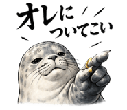 845727470