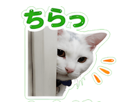 845727699