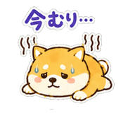 845727735