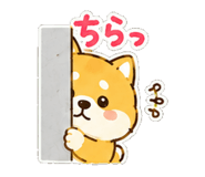 845727736