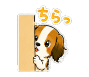 845727792
