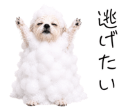 845727849
