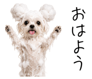 845727861