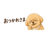 845728757