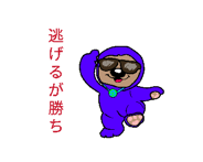 845728884