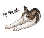 845730696