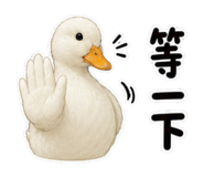 845731127