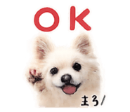 845733301