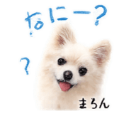 845733305