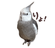 845733348