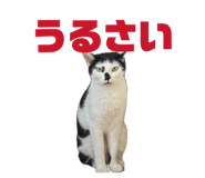 845733361