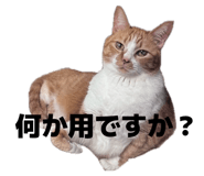 845733366