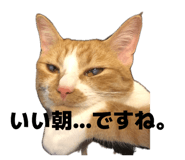 845733369