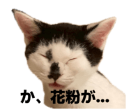 845733371