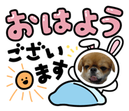 845733401