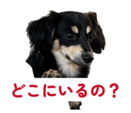 845733490