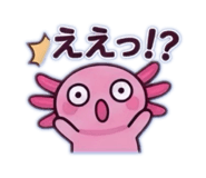 845733716