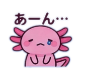 845733729