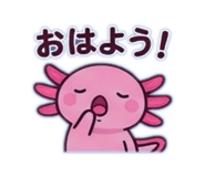 845733730