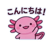 845733743