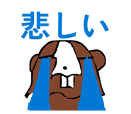 845733756