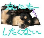 845733776