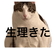 845733833