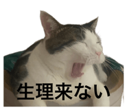 845733834