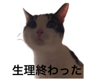 845733836