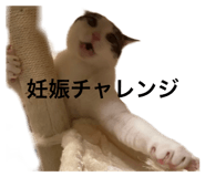 845733841