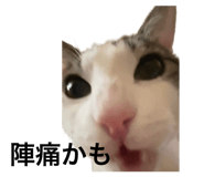 845733843