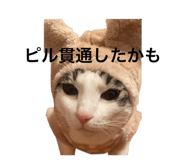 845733845